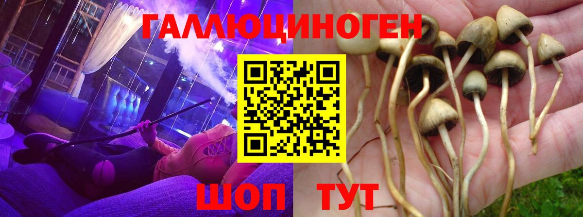 Псилоцибиновые грибы прущие грибы Печора