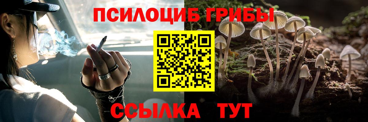 Псилоцибиновые грибы GOLDEN TEACHER  Вход с VPN  Печора 